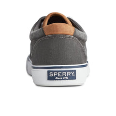 Striperiictx Black Unisex Sneakers