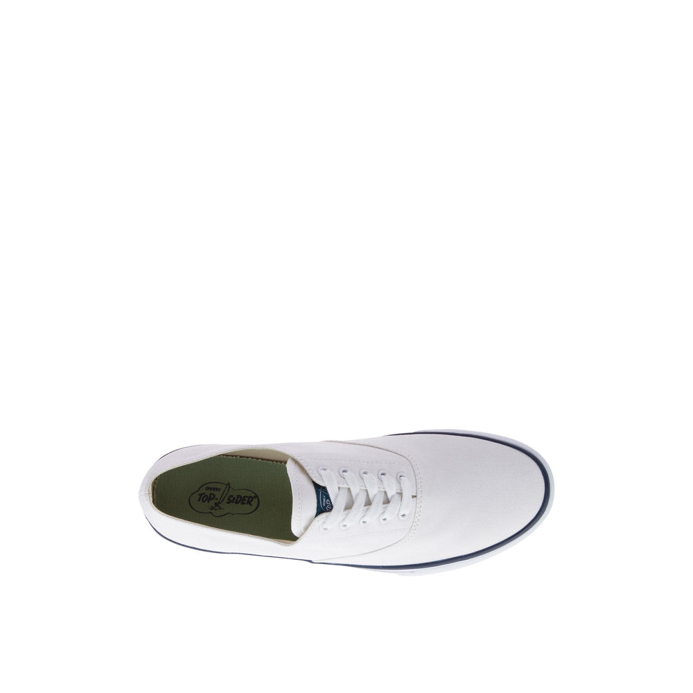 Classiccvo White Unisex Sneakers