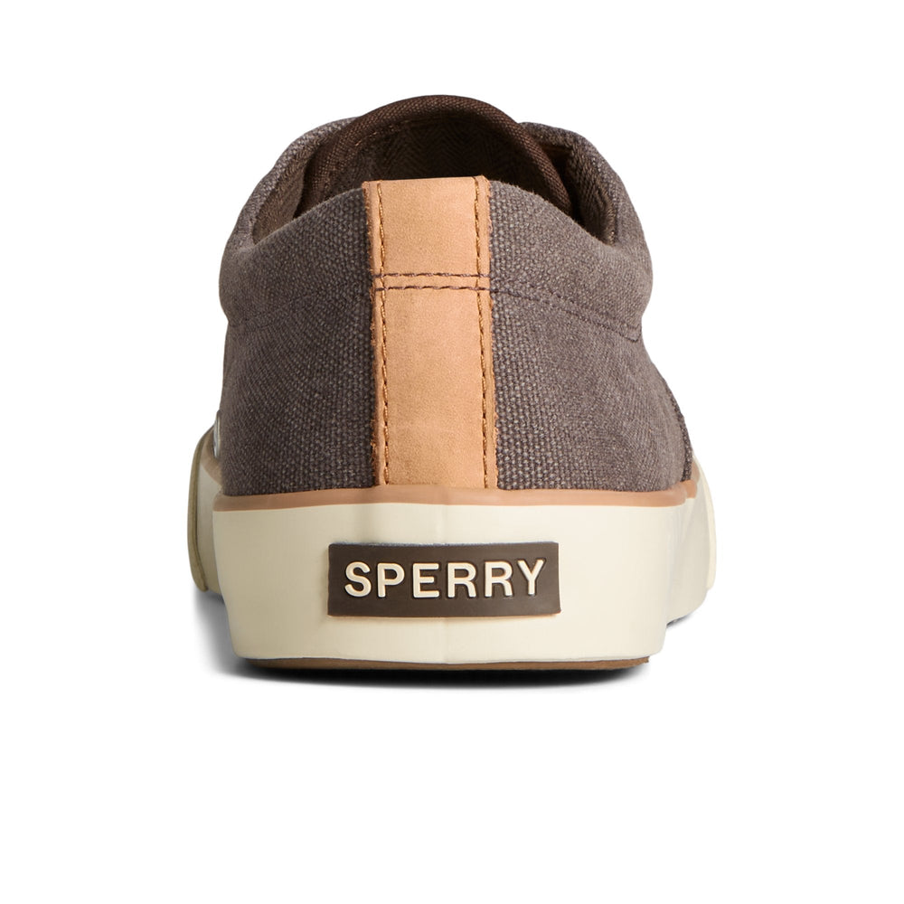Striper II Washed Canvas CVO Sneaker Brown