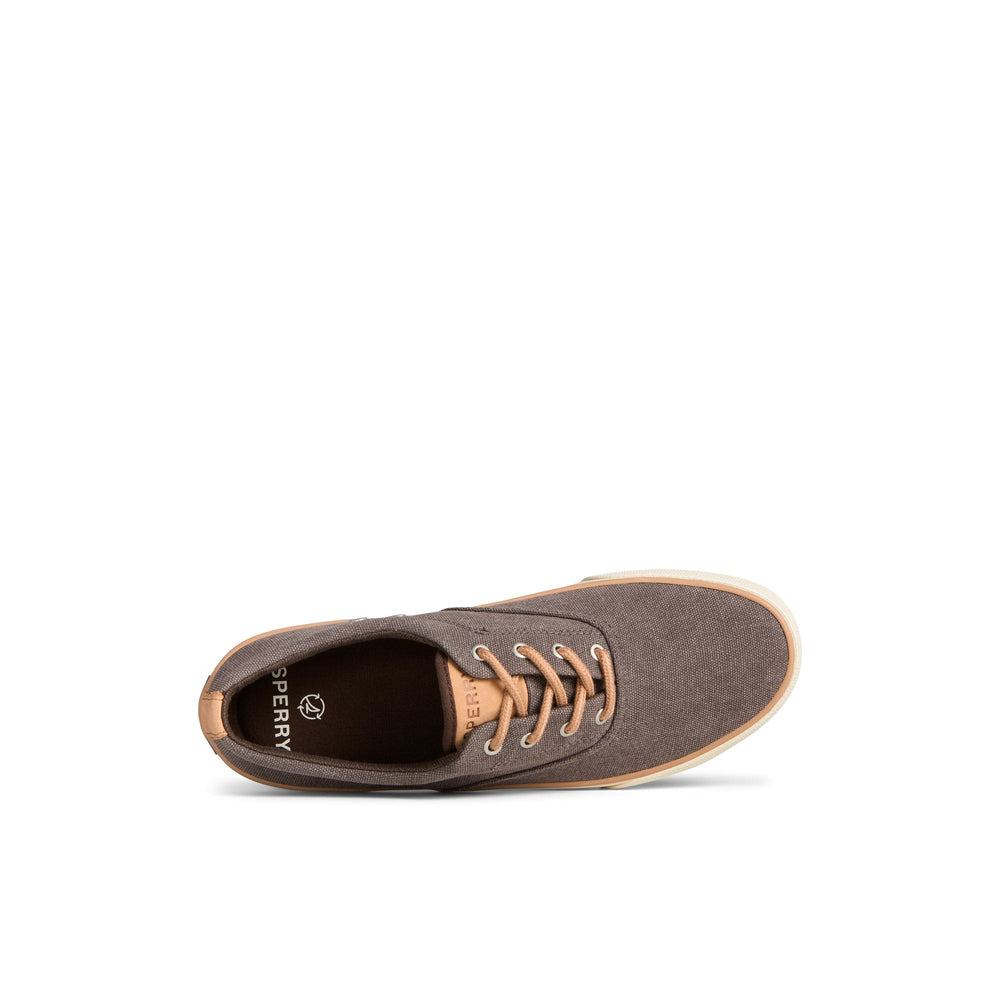 Striper II Washed Canvas CVO Sneaker Brown
