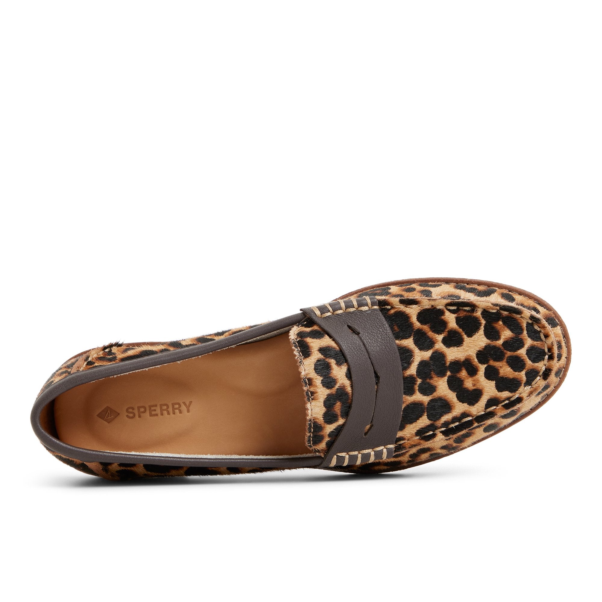 Seaport Penny Loafer Brown Primary Multi
