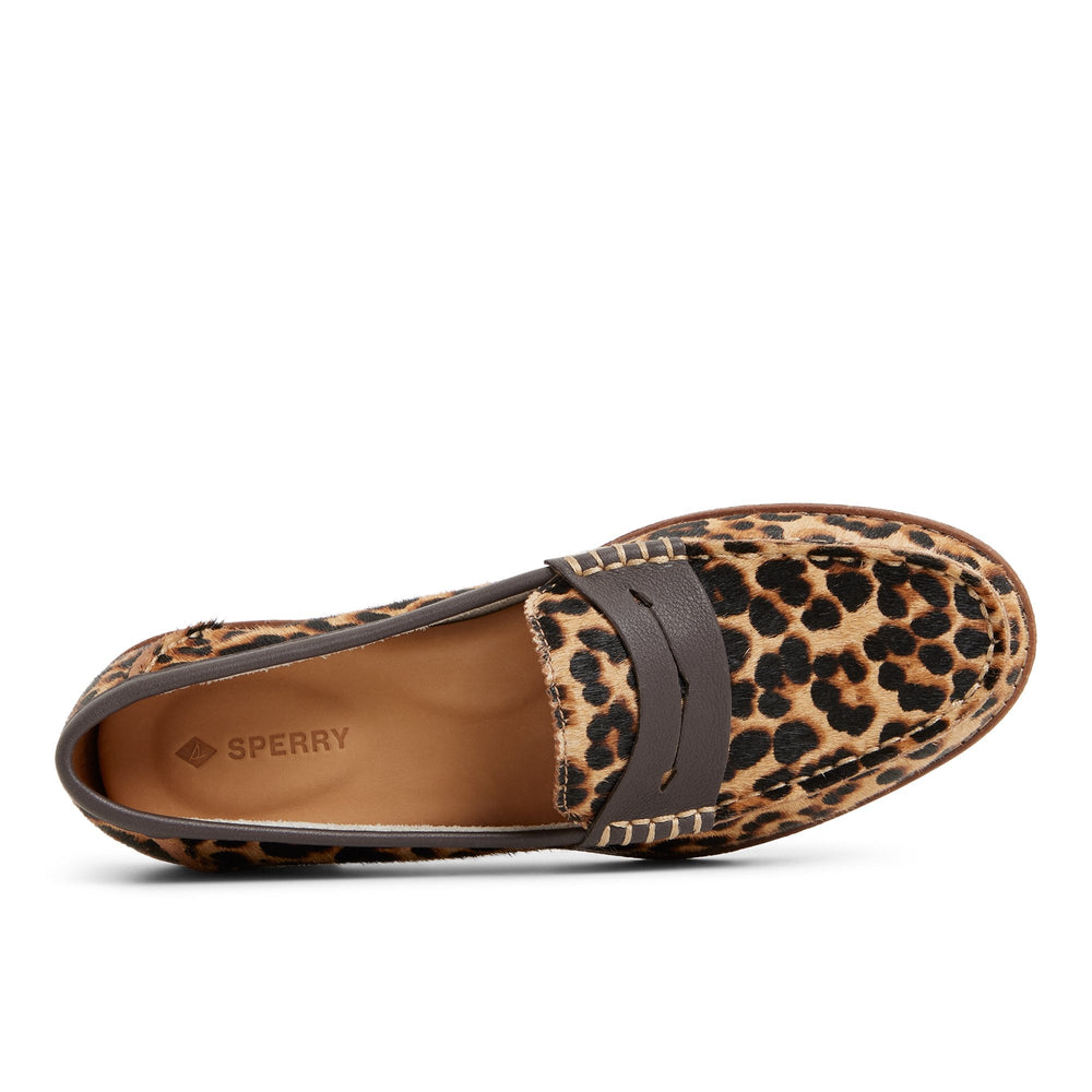 Seaport Penny Loafer Brown Primary Multi