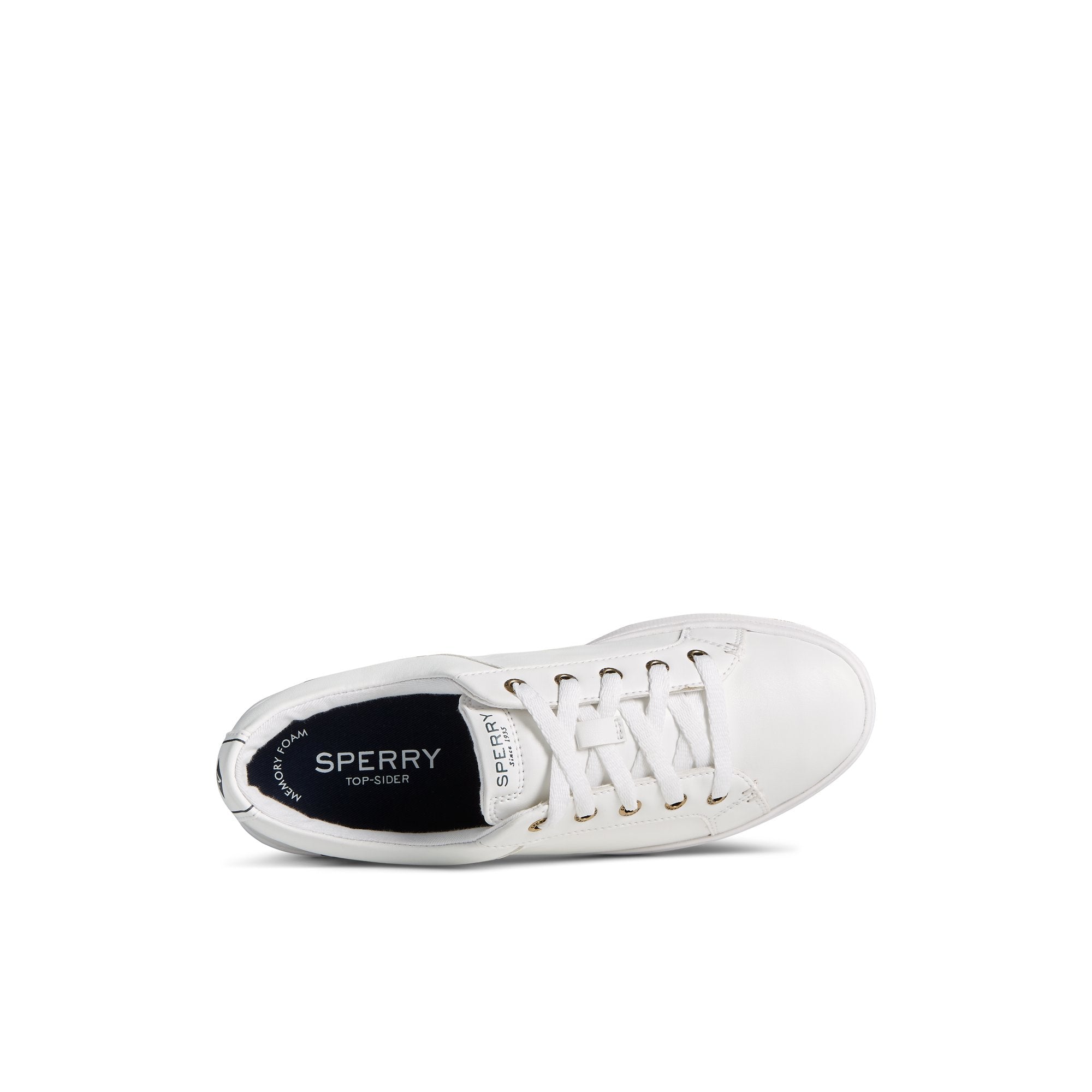 Charter Lace to Toe Sneaker